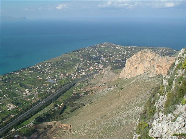 monte palmeto